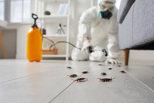 Commercial Kitchen Cockroach Control in Cullman